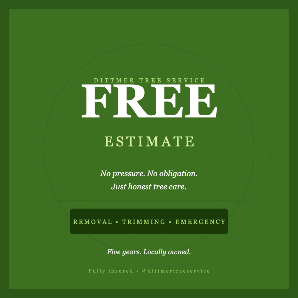 All Photos for Dittmer Tree Service in Davenport, IA