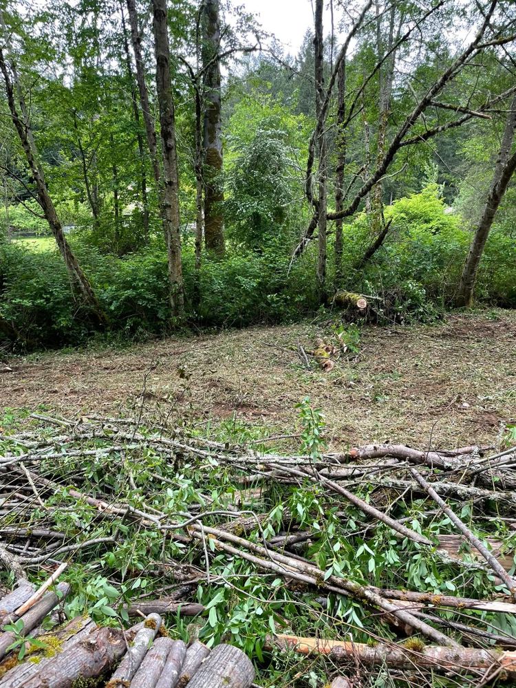 Tree Removal for Wilderness Stump Grinding in Orting, WA