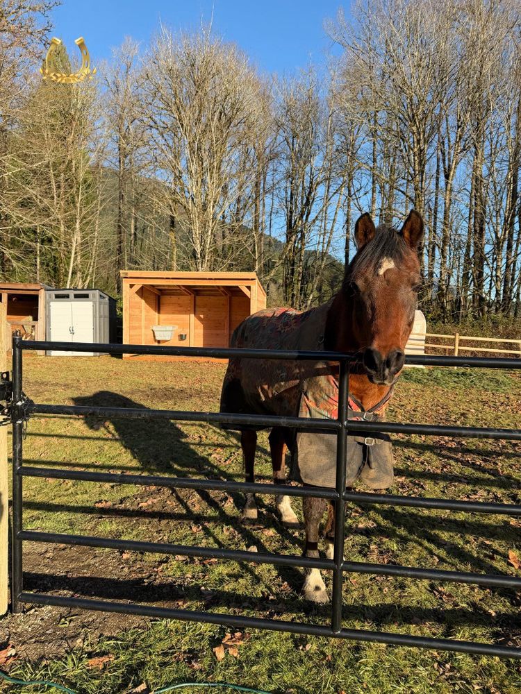 Fencing for Oats Equestrian Fencing LLC in Arlington, WA