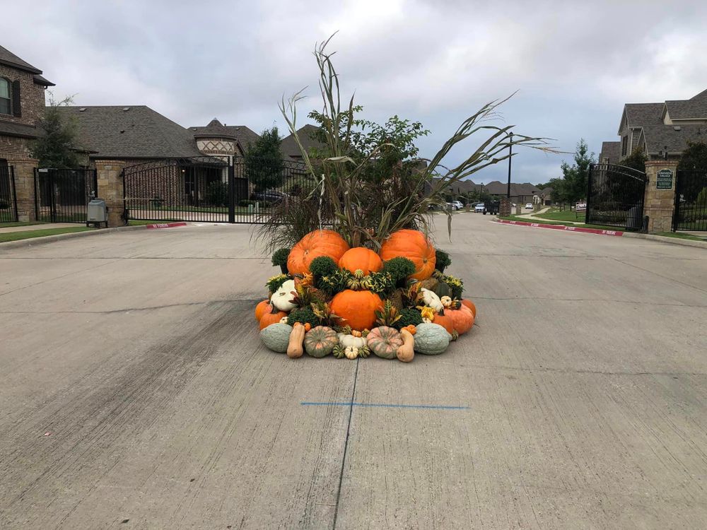 Pumpkin Displays for Rj’s Enchanted Gardens and Fencing LLC in Irving, TX