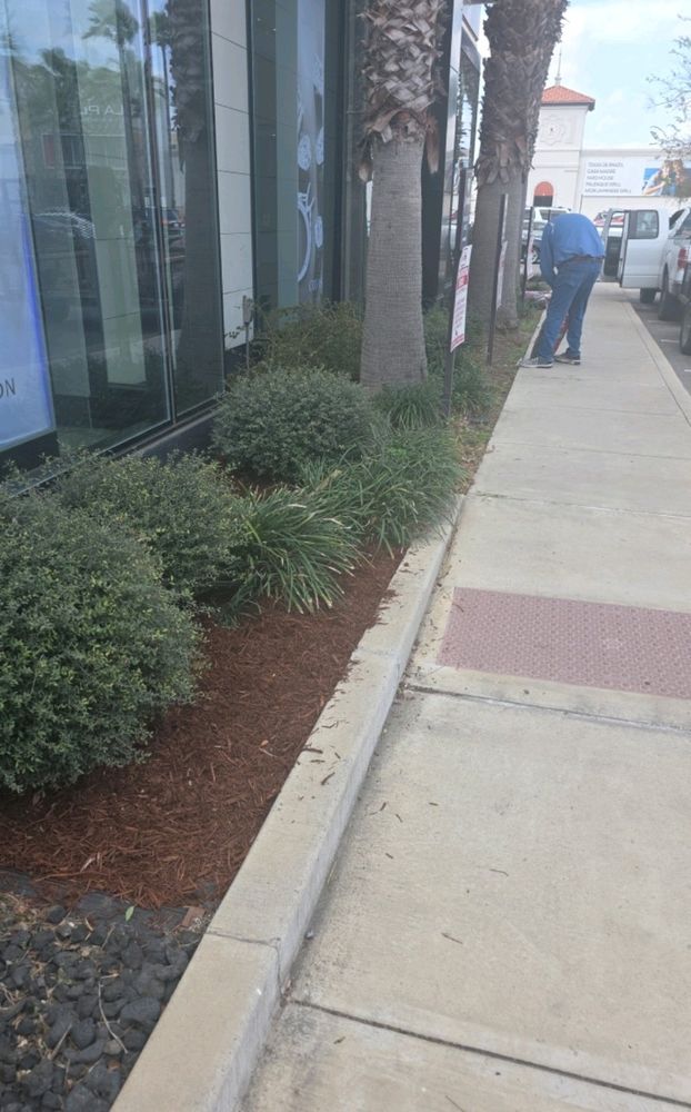 All Photos for Pro Lawn Care RGV in McAllen, TX