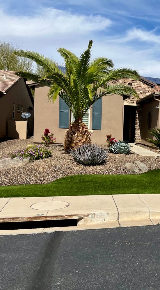 All Photos for Grand Canyon State Landscape Inc. in Surprise, AZ