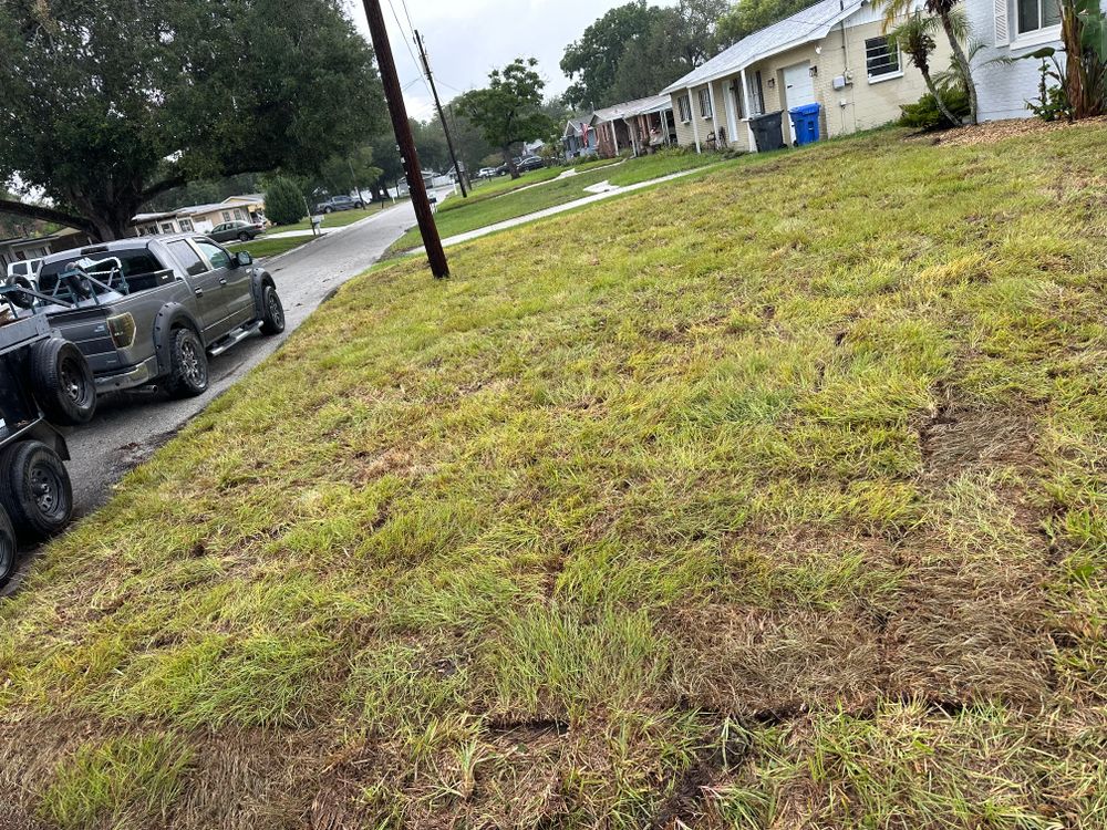 All Photos for Gulf Bay Sod in Clearwater, FL