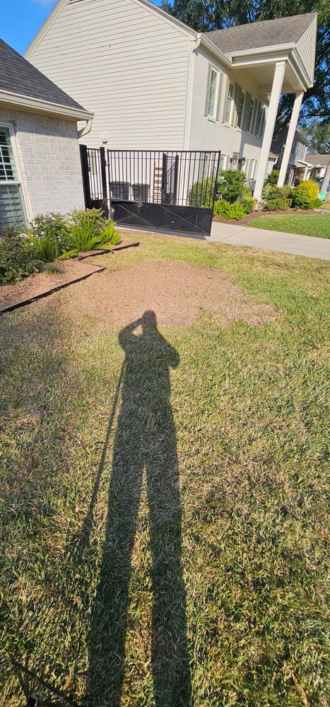 All Photos for Servin's Tree Care  in Houston, TX