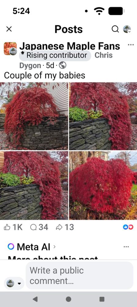 All Photos for Evolution Earthscapes, LLC in Ludlow, MA