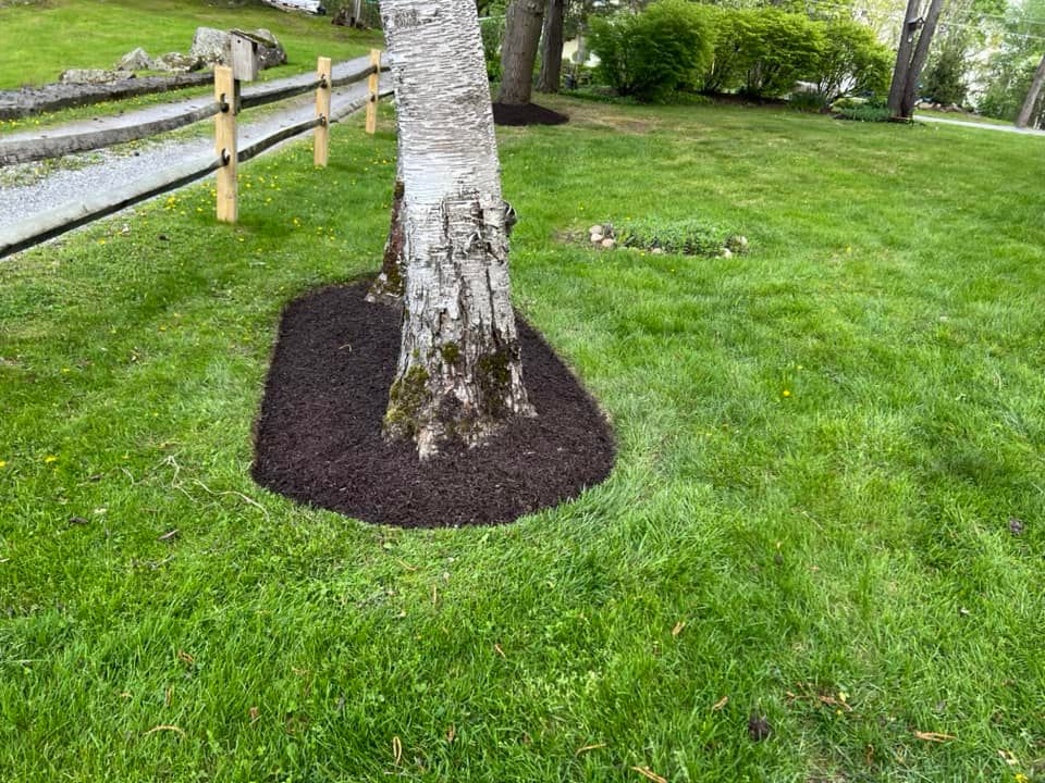 Lawn Care for Denicola’s Lawn Care in Oxbow,  NY