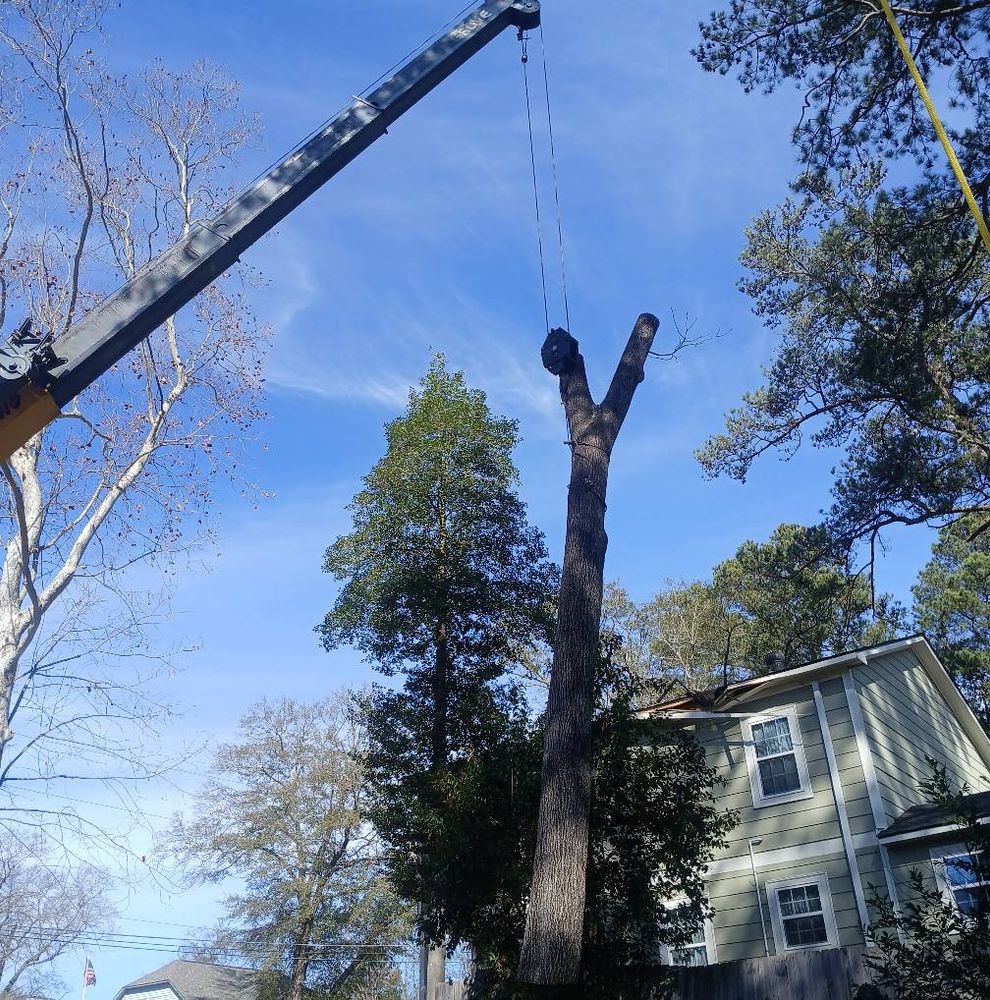 Our Tree Trimming service enhances your home's safety and aesthetic by expertly pruning overgrown branches, promoting healthy growth, preventing damage during storms, and elevating your landscape's overall beauty. for Kingdom Riderz Hauling And Tree Service in Tar Heel, NC