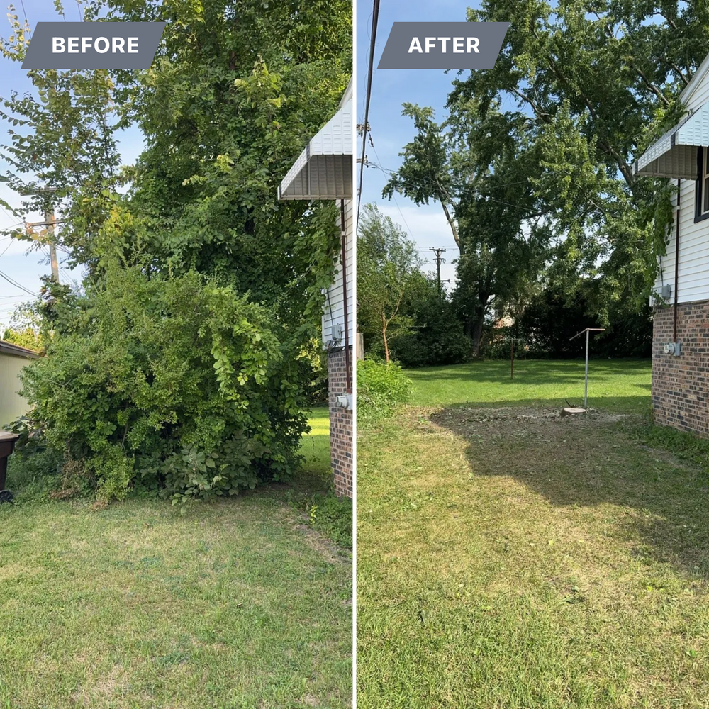 All Photos for Fransen's Tree Service  in Freeport, IL