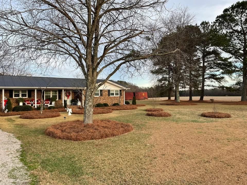 All Photos for Green Works Landscaping in Clayton, NC