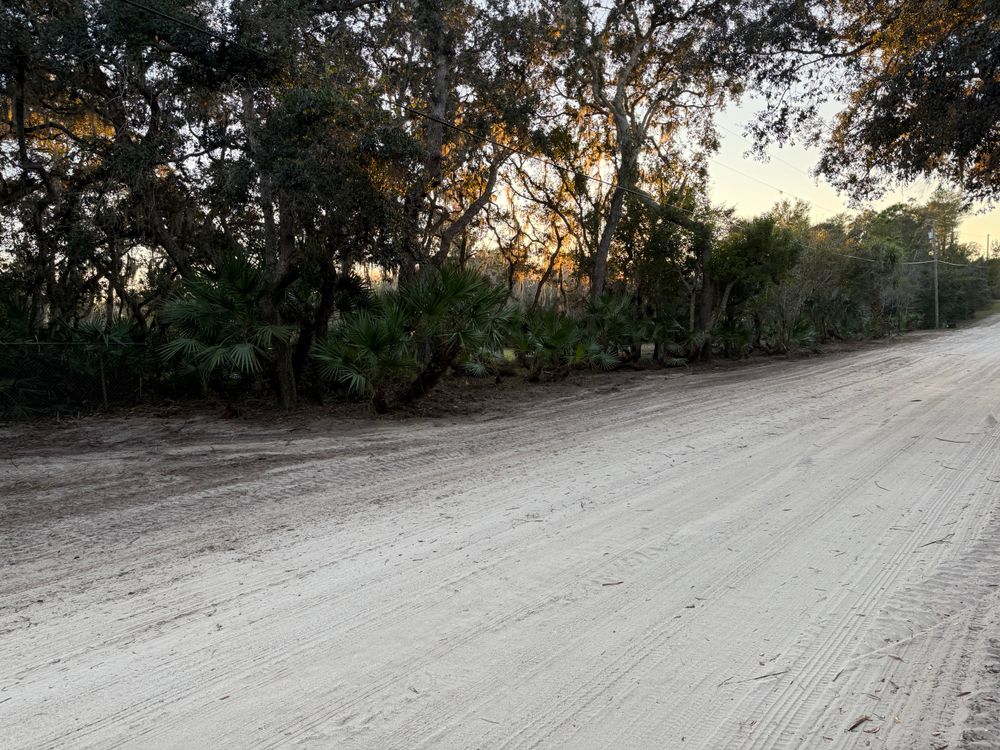 All Photos for Amerigrown Tree And Lawn in Apopka, FL