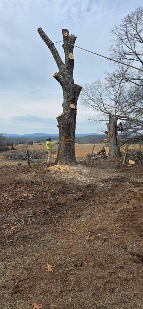 All Photos for Hamlett Tree Service LLC in Clover, VA