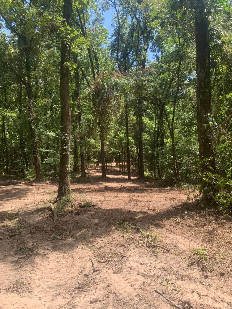 Our Forestry Mulching service efficiently clears overgrown land, enhancing property aesthetics and usability by removing unwanted vegetation while preserving topsoil health, a cost-effective solution for homeowners seeking landscape improvement. for Polasini Land Development in Starkville, MS