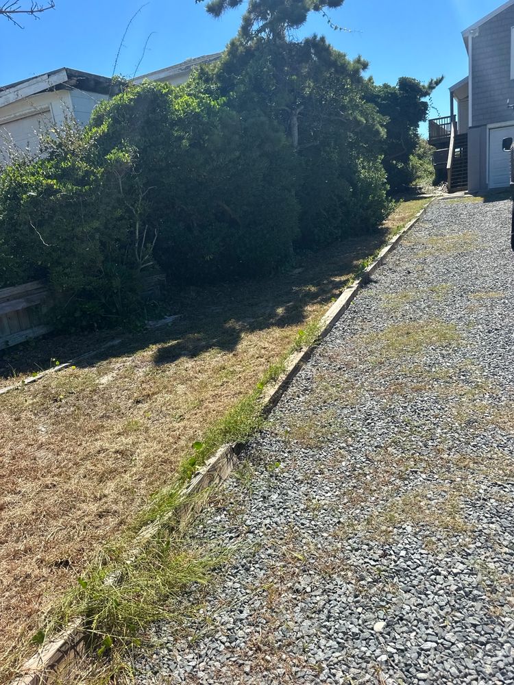 All Photos for Carolina Odd Jobs Inc. in Sneads Ferry, NC