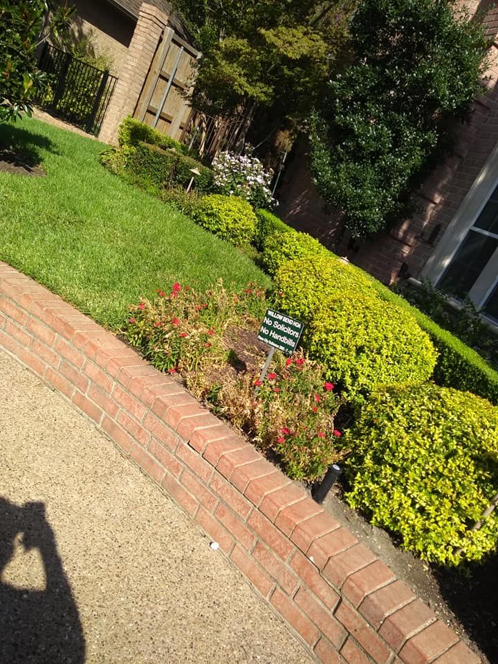 All Photos for Green City Landscape and Lawn Care LLC in Mesquite, TX