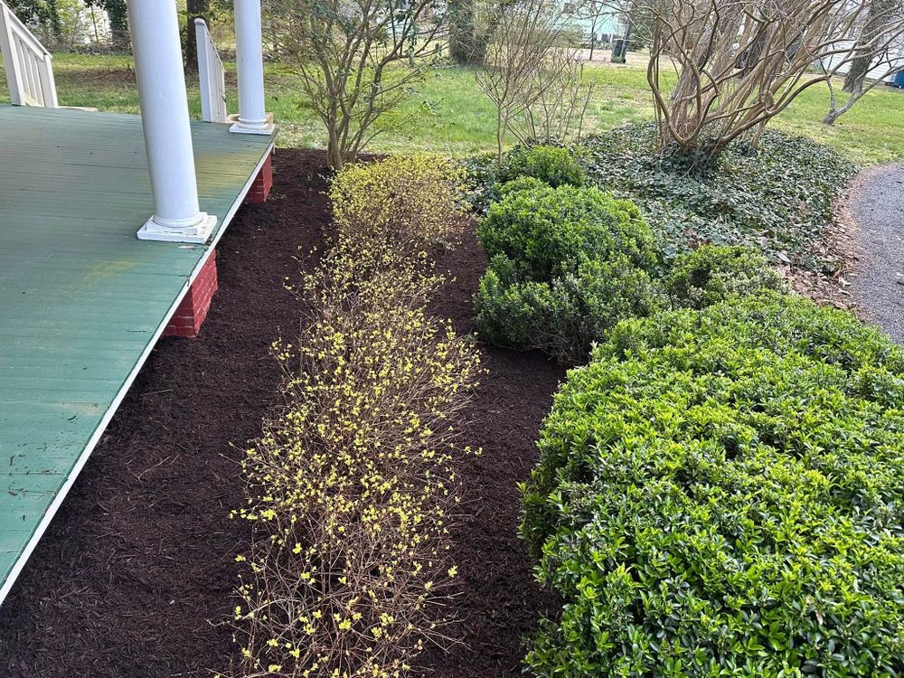 All Photos for Alex’s Grass Care in Salisbury, MD