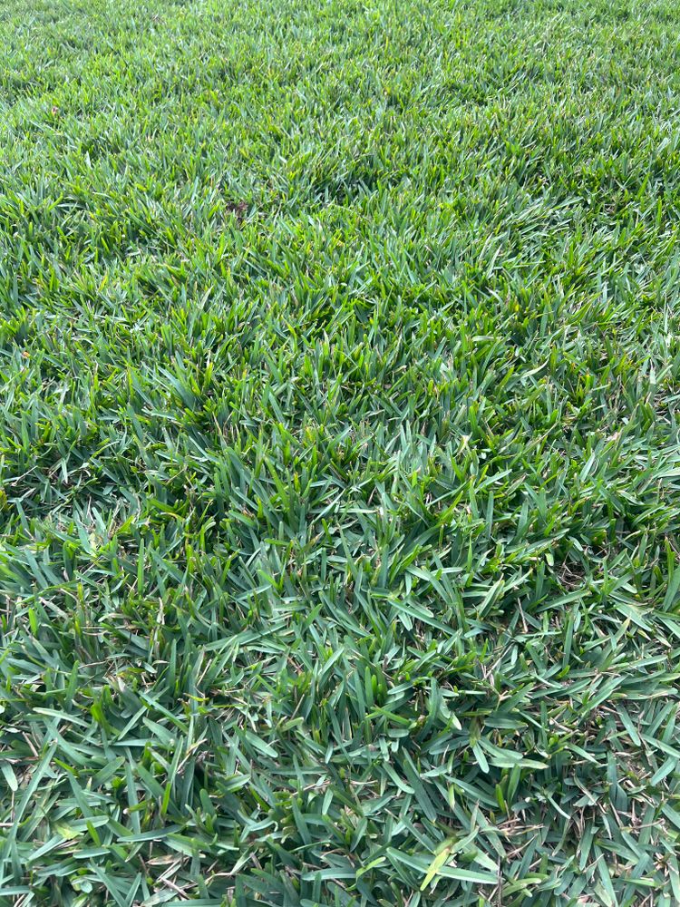 All Photos for C4 Ground Control in Oviedo, FL