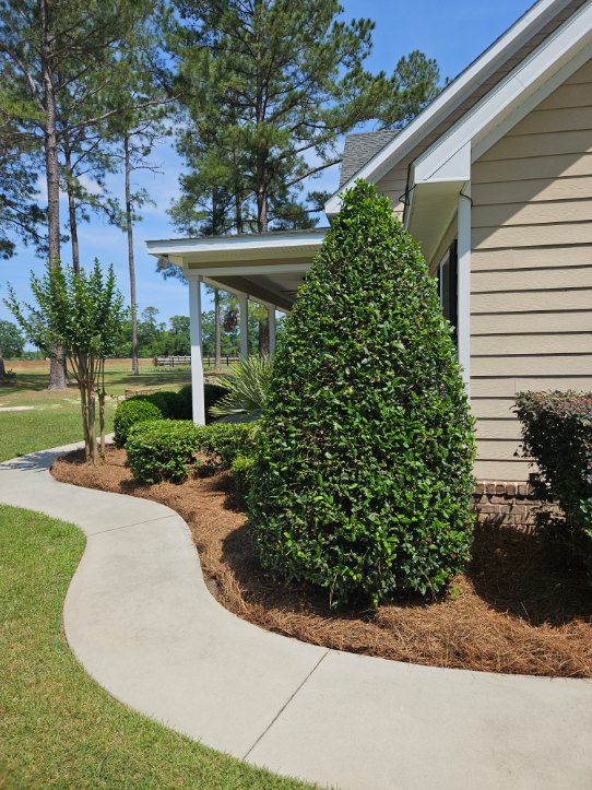 Outdoor Furniture for Precision Exterior Services in Blackshear, GA