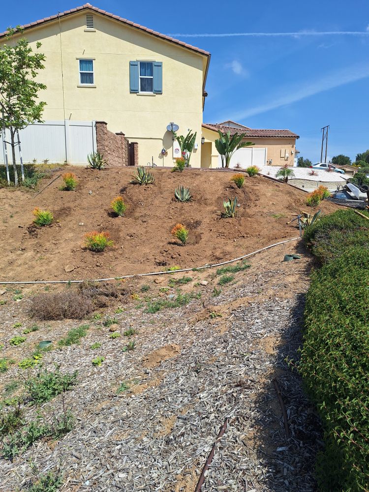 All Photos for Best Lawncare in Colton, CA