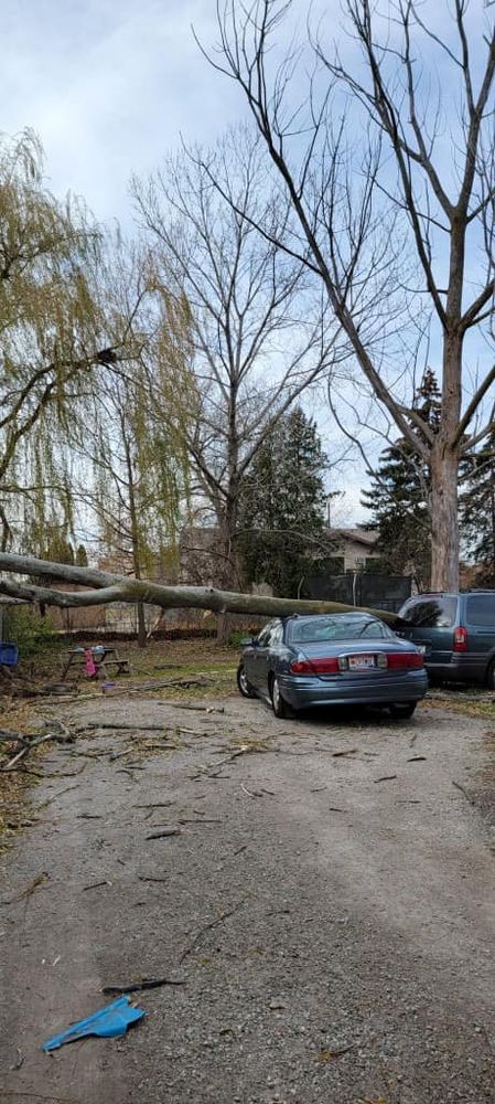 All Photos for Tree-B-Gone in Shawano, WI