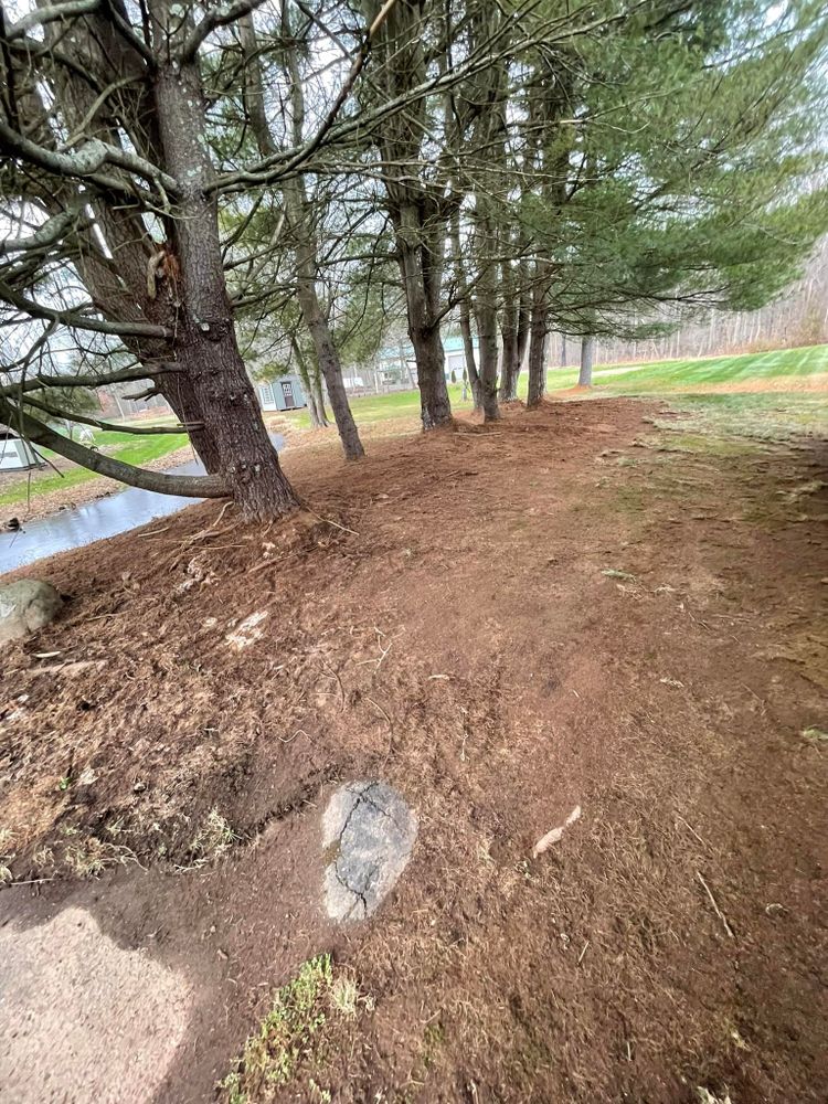 Our Fall Clean Up service ensures your yard is pristine by removing leaves, debris, and pruning plants. Prepare your landscape for winter with our efficient and thorough seasonal maintenance. for Blades of Glory LLC in Cheshire, CT