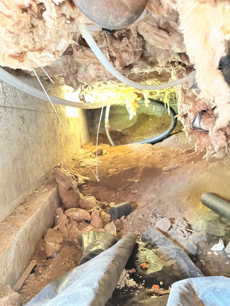 All Photos for Absolute Plumbing and Drains LLC in Beaverton, OR