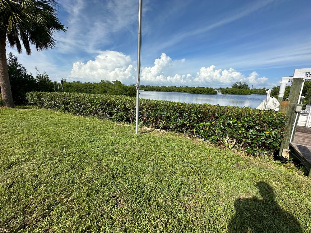 All Photos for MX Trees LLC in Englewood, FL