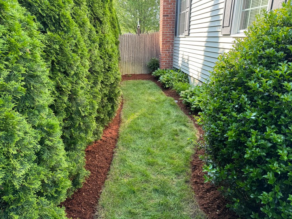 All Photos for Adams Landscaping in Springfield, MA