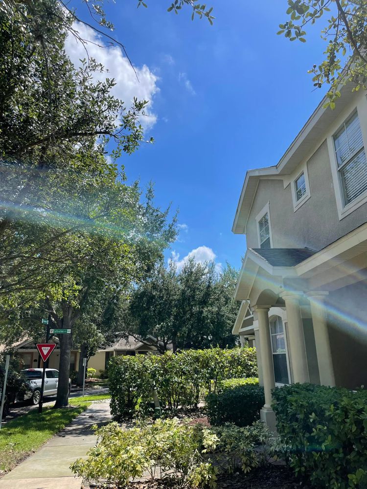 All Photos for The Family Tree Care Services LLC in Florida City, FL