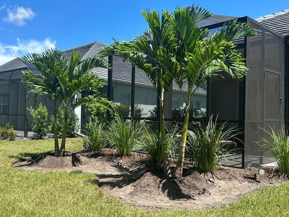 Landscaping for Plant World LLC in Cape Coral, FL