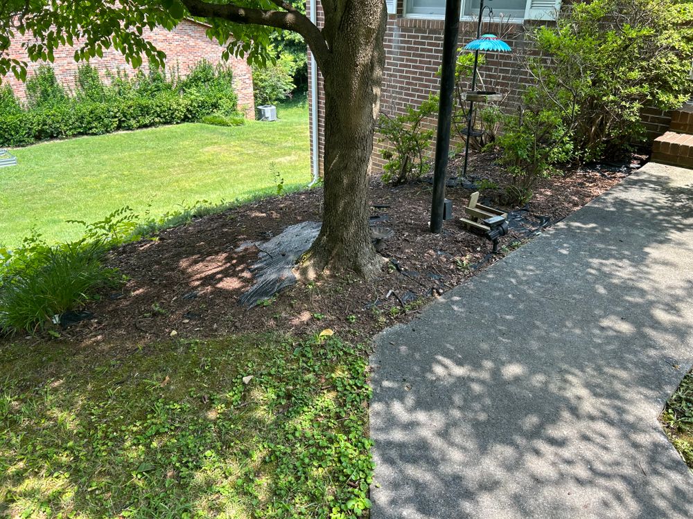 All Photos for Gatrell Landscape & Tree Removal in Bluff City, TN