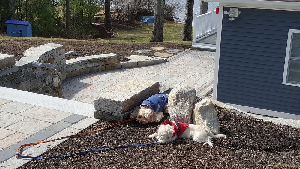 All Photos for Evolution Earthscapes, LLC in Ludlow, MA