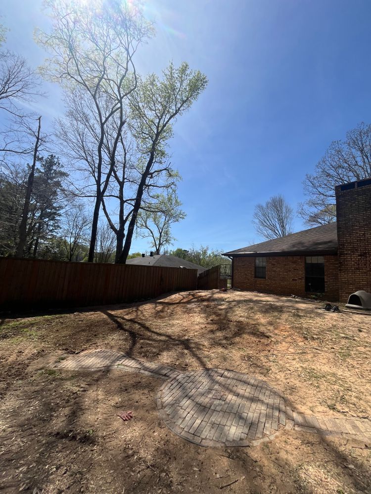 All Photos for JC Land and Tree Service in Kilgore, TX