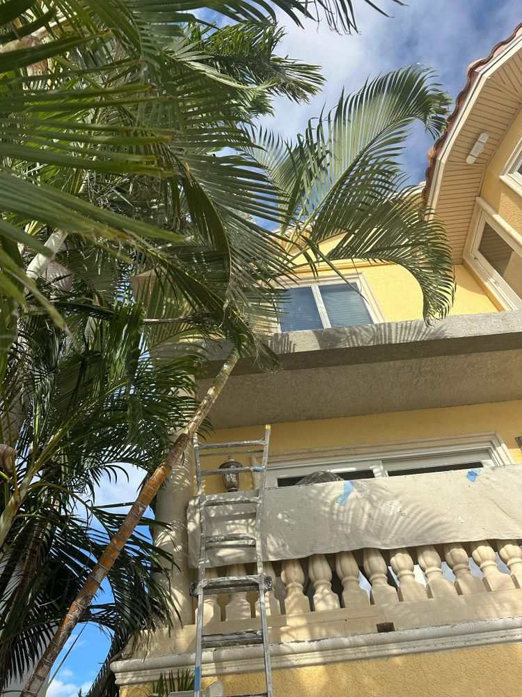 All Photos for Escorpio Painting in Tampa, FL