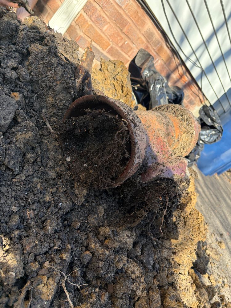 All Photos for The Drain Force in Cleveland, OH