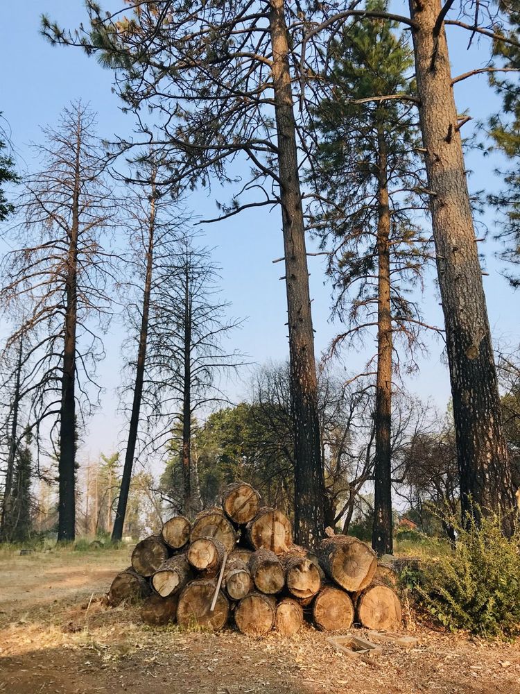 Our Tree Removal service safely removes hazardous, damaged, or unwanted trees from your property with professional care, protecting your home, landscape, and family while leaving your yard clean and secure. for Extra Mile Landscape & Irrigation in Orem, UT