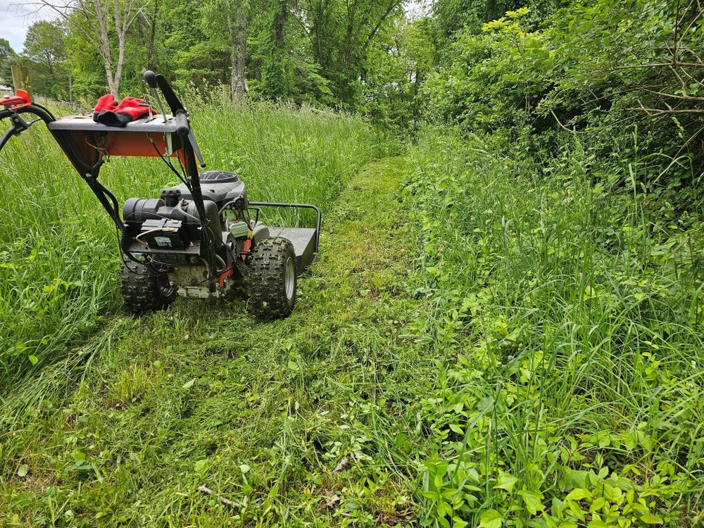 Tree Removal for I and R Stump Grinding in Thornville, OH