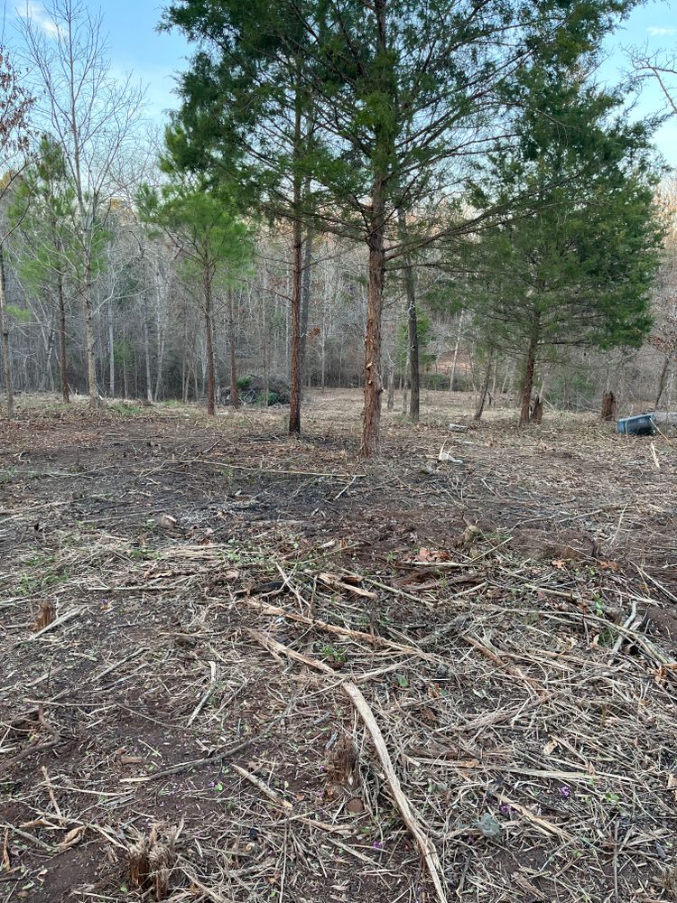 All Photos for JC Land and Tree Service in Kilgore, TX