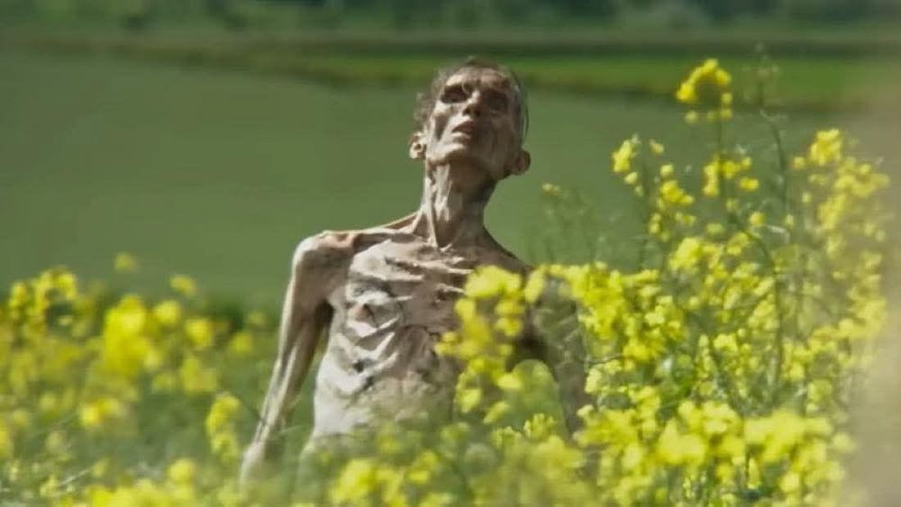 All Photos for M&N Fencing in Crook, CO