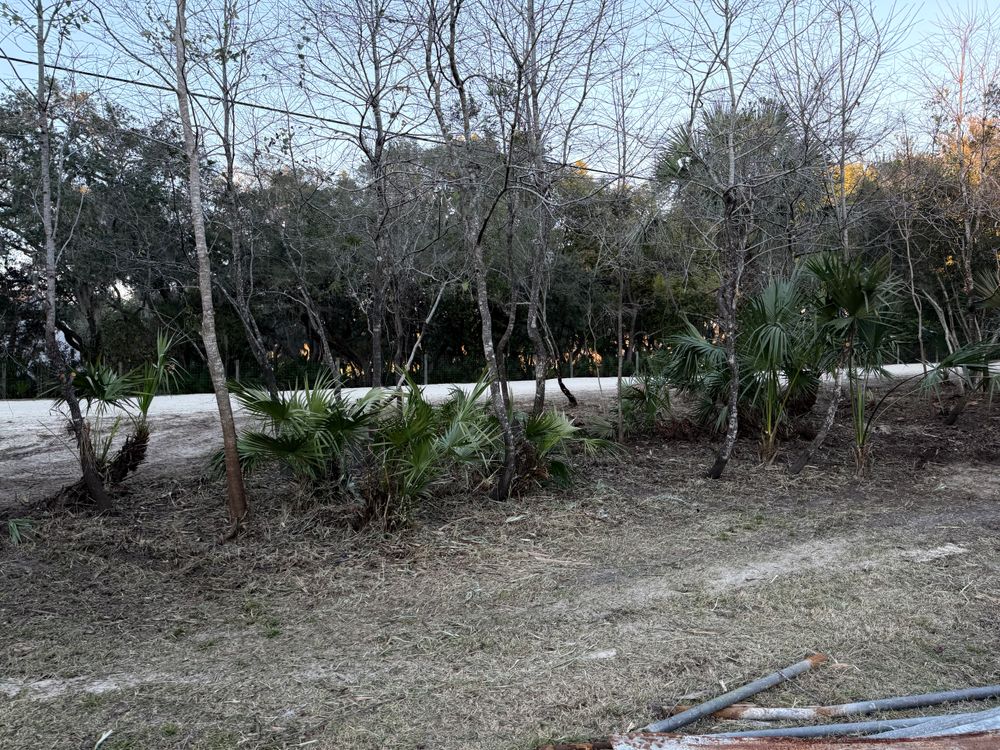 All Photos for Amerigrown Tree And Lawn in Apopka, FL