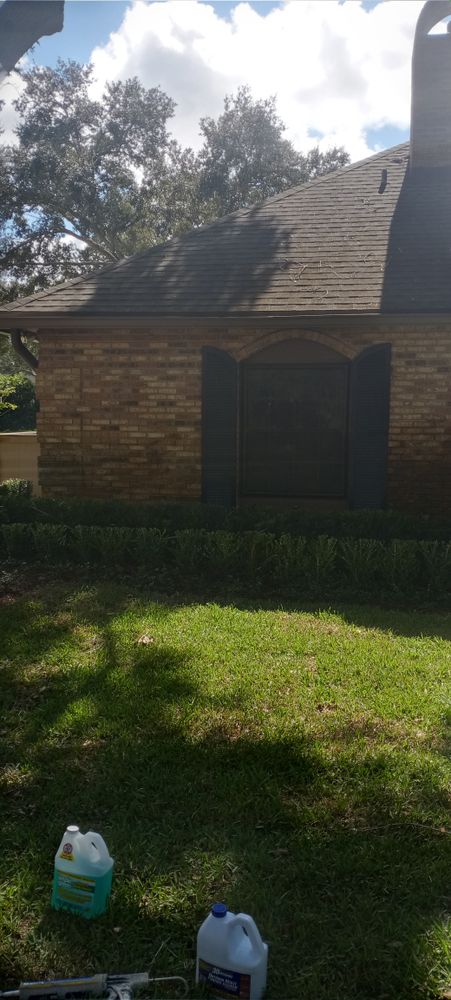 All Photos for Bradley Bradshaw Painting in Christmas, FL