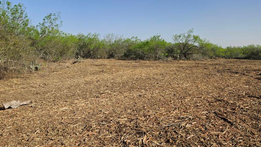 Land Clearing for Hernandez Land Clearing Services in Alice, TX