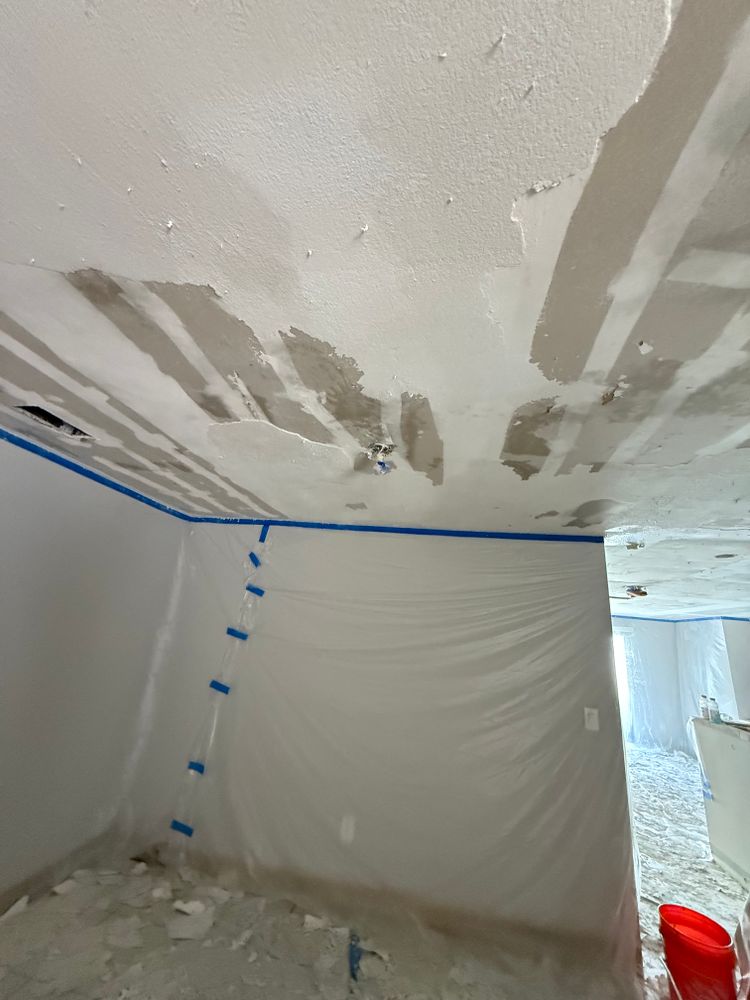 All Photos for Escorpio Painting in Tampa, FL