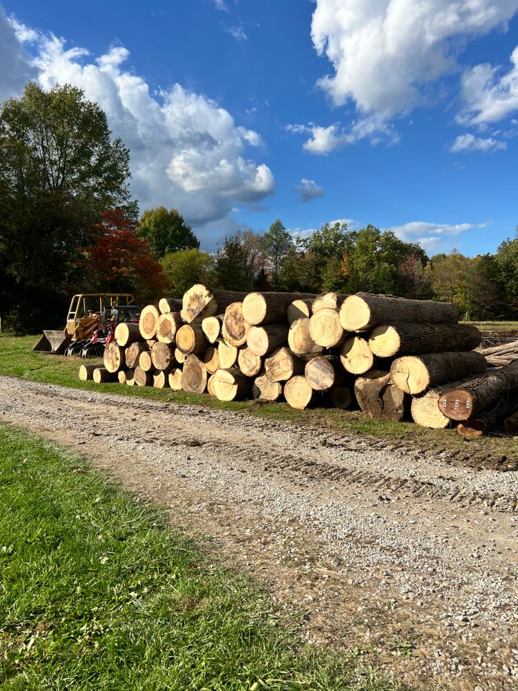 Logging for Kadin’s Tree Service in North Vernon, IN