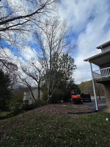 All Photos for M&L Lumber and Excavating in Jonesborough, TN