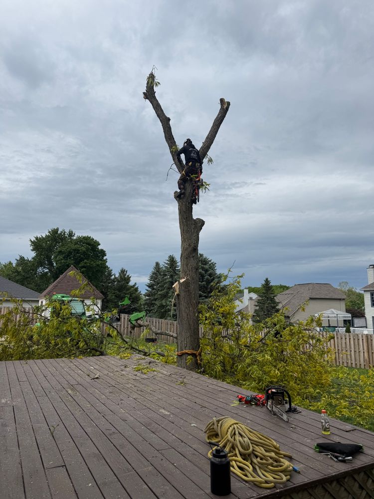 All Photos for Down To Earth Tree Service, LLC in Olmsted Falls, OH