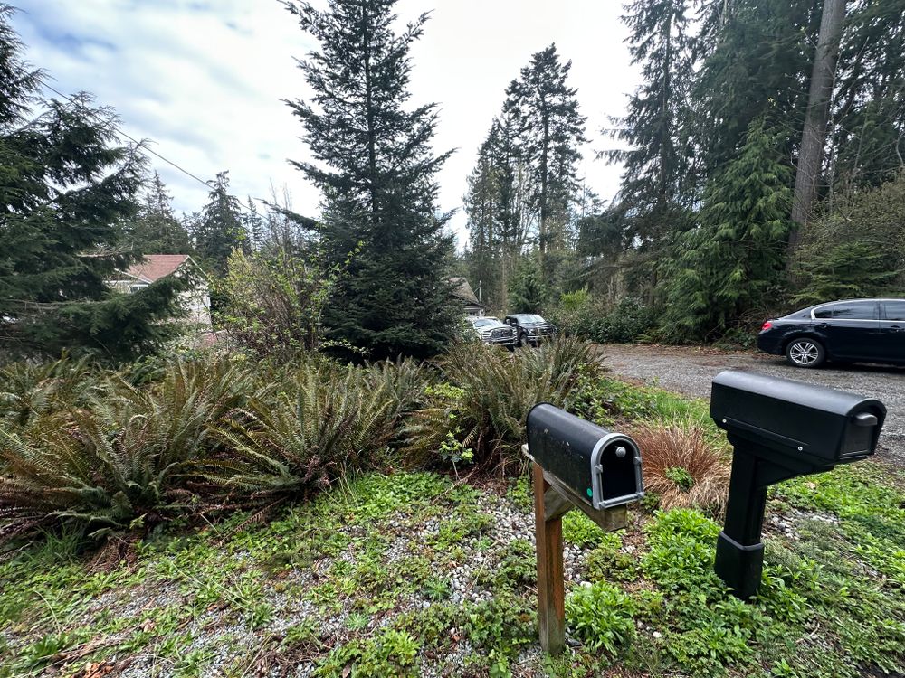 All Photos for AR Trucking & Excavation LLC in Stanwood, WA