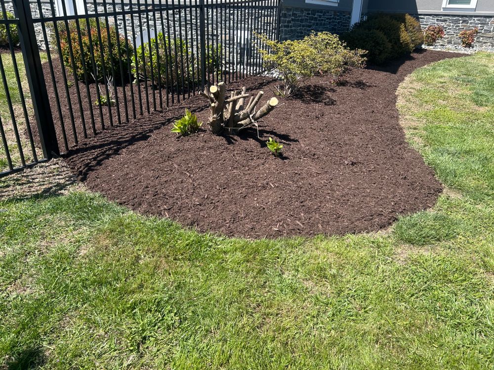 All Photos for The Whole 9 Yards Landscape VA in Heathsville, VA