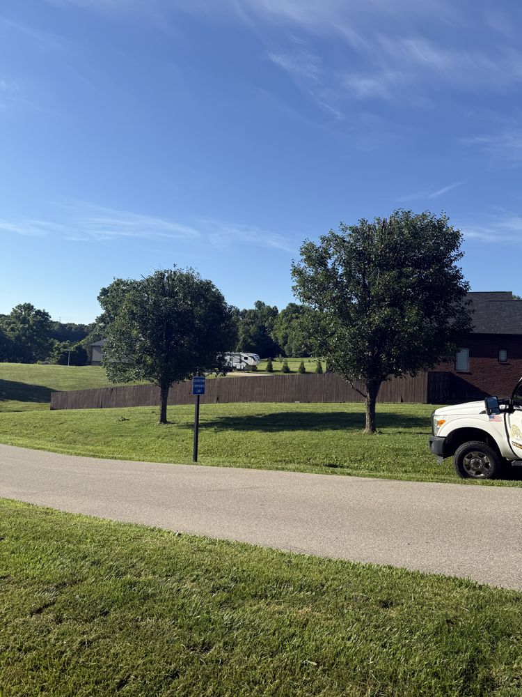 All Photos for Lightning Tree Service in Corydon, IN