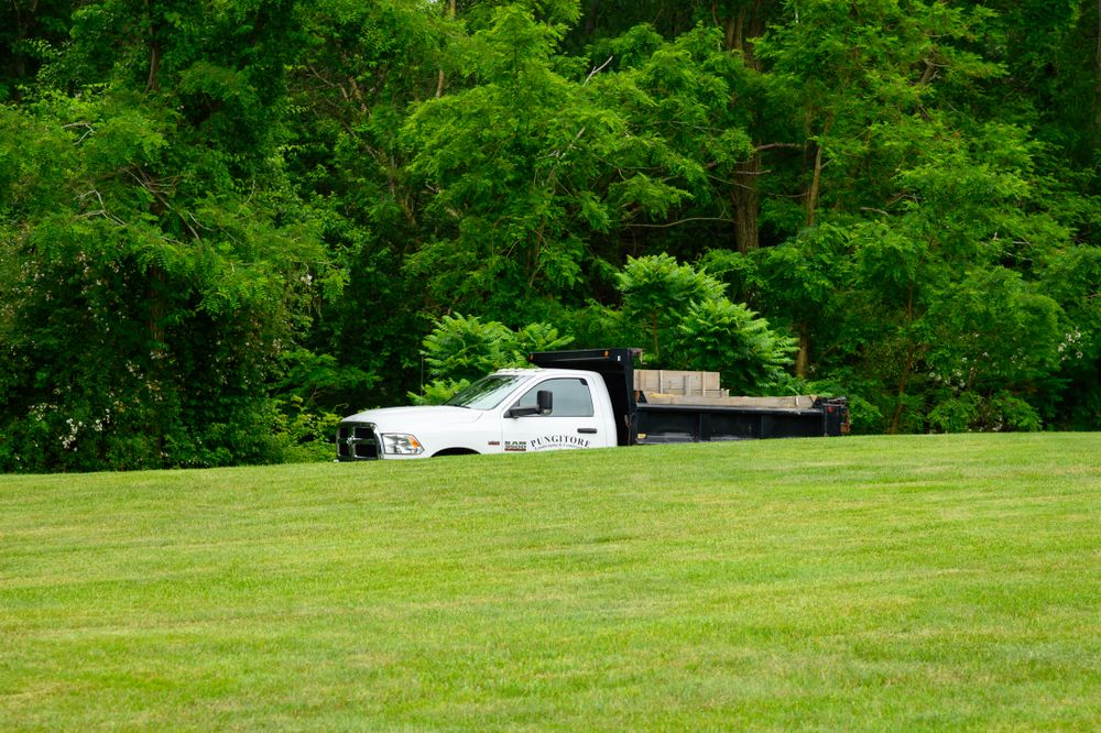 All Photos for Pungitore Landscapes, Irrigation & Fertilizer in Hingham, MA