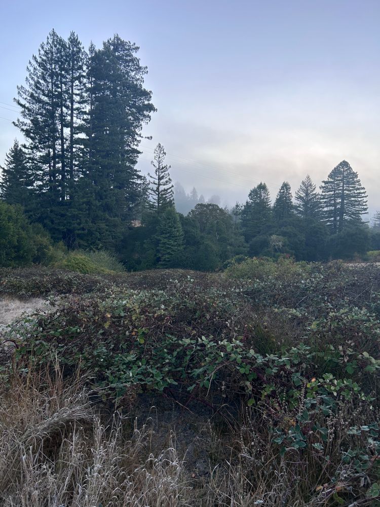 All Photos for J. Orozco & Sons Ent in Philo, CA